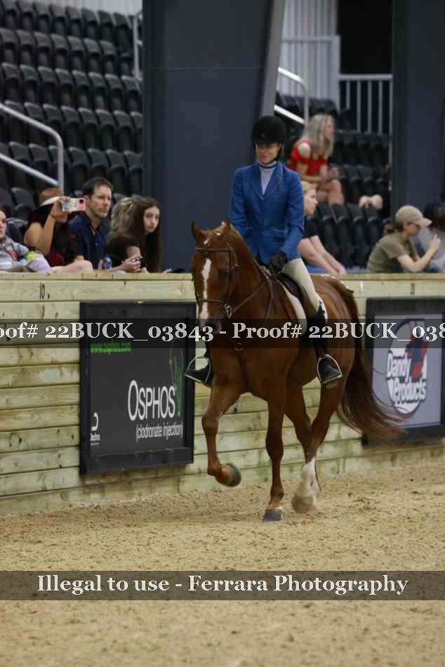 Proof 22BUCK_03843