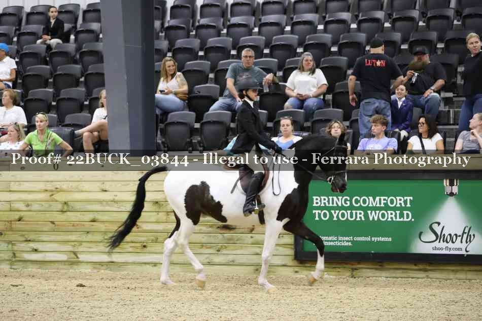 Proof 22BUCK_03844