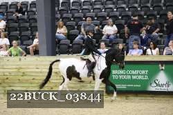 22BUCK_03844 proof