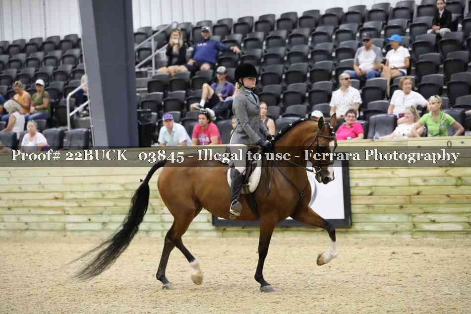 Proof 22BUCK_03845