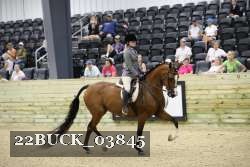 22BUCK_03845 proof