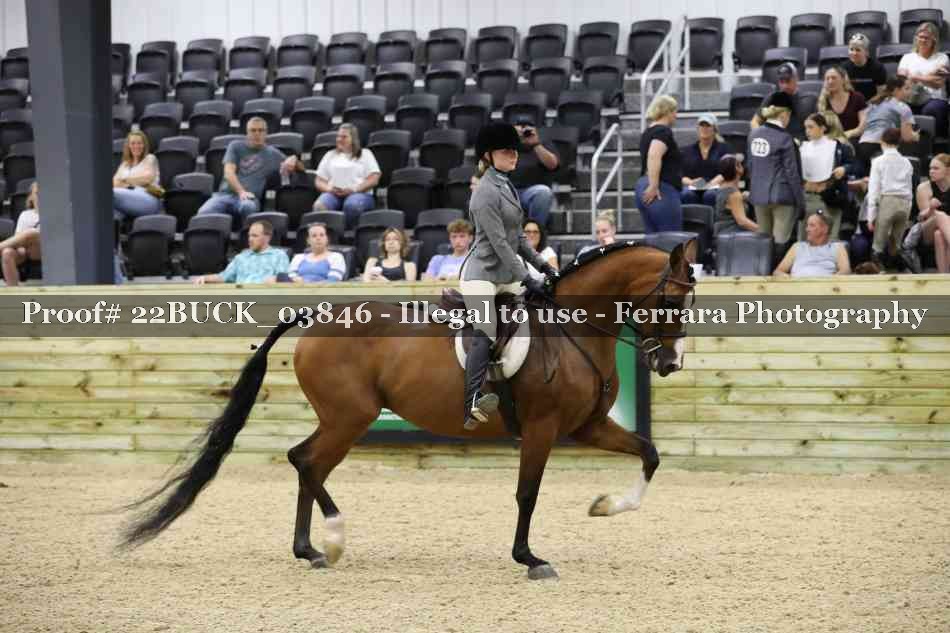 Proof 22BUCK_03846