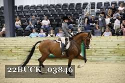 22BUCK_03846 proof