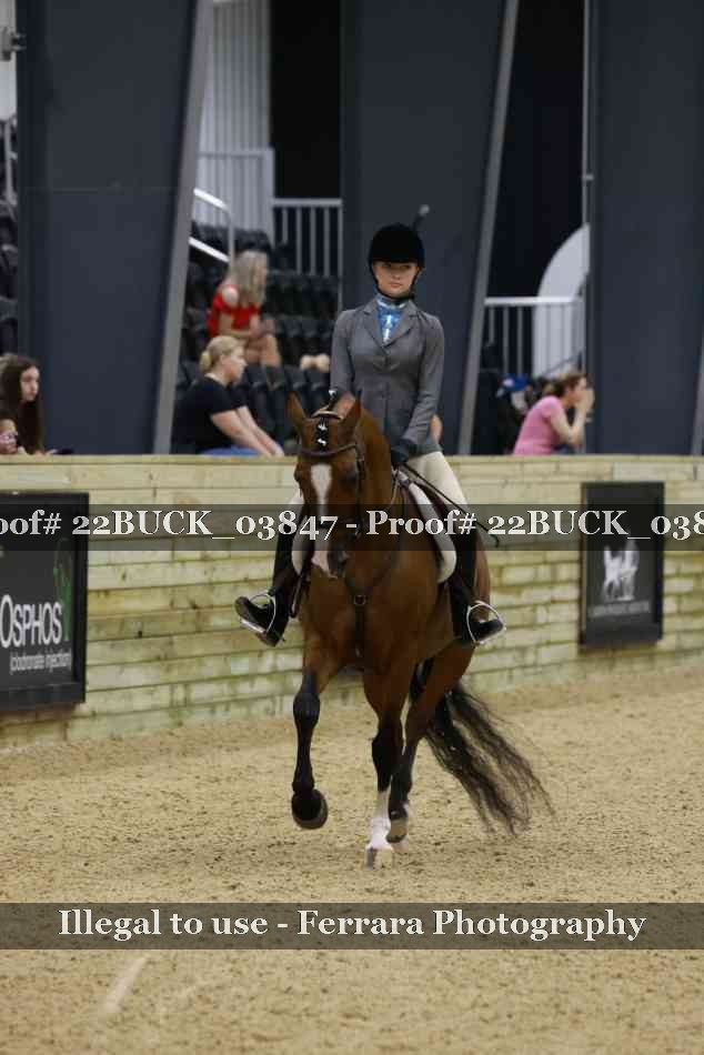 Proof 22BUCK_03847