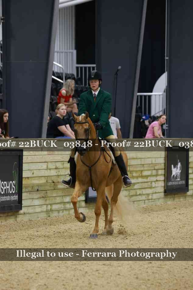 Proof 22BUCK_03848