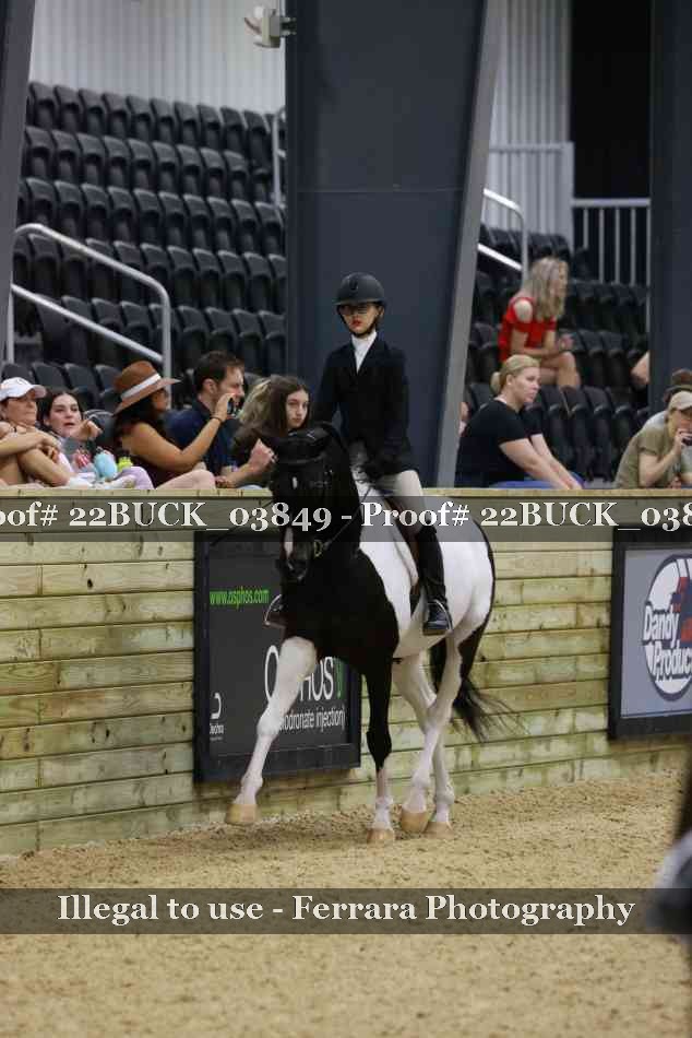 Proof 22BUCK_03849