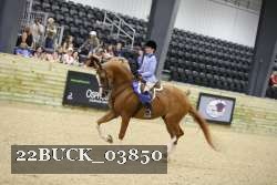 22BUCK_03850 proof