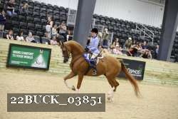 22BUCK_03851 proof