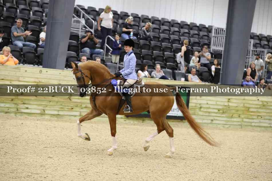 Proof 22BUCK_03852