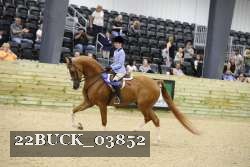22BUCK_03852 proof