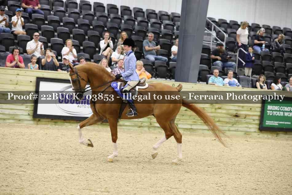 Proof 22BUCK_03853