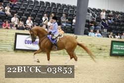 22BUCK_03853 proof