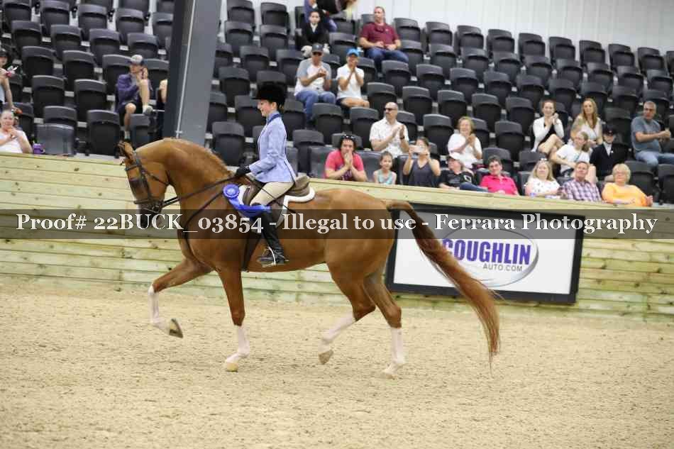 Proof 22BUCK_03854