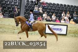 22BUCK_03854 proof