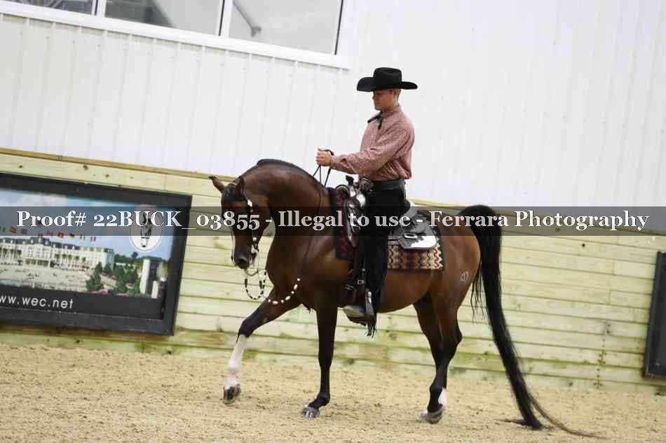 Proof 22BUCK_03855