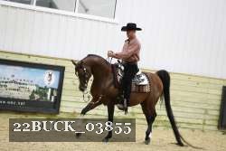 22BUCK_03855 proof