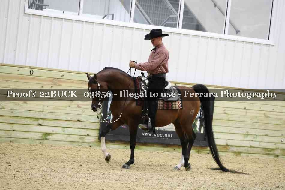 Proof 22BUCK_03856
