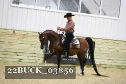 22BUCK_03856 proof