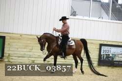 22BUCK_03857 proof