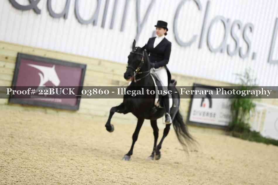 Proof 22BUCK_03860