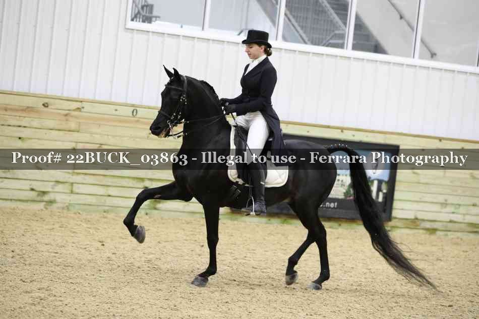 Proof 22BUCK_03863