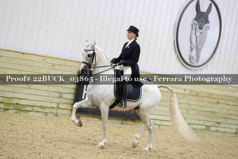 Proof 22BUCK_03865