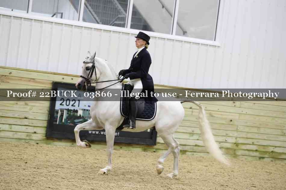 Proof 22BUCK_03866