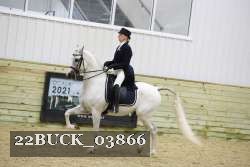 22BUCK_03866 proof