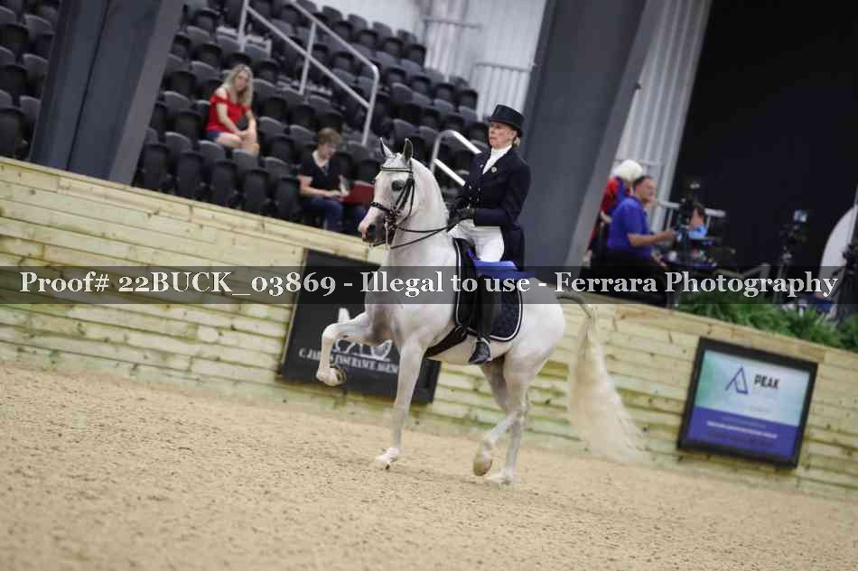 Proof 22BUCK_03869