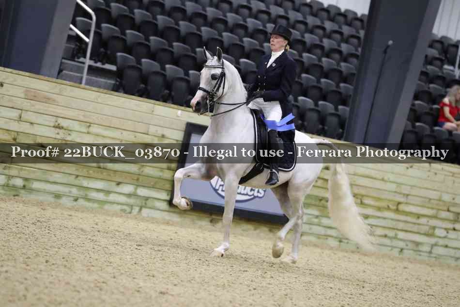 Proof 22BUCK_03870
