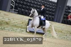 22BUCK_03870 proof