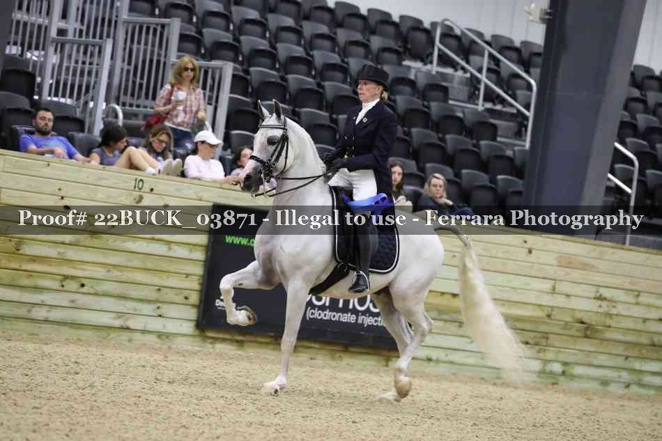 Proof 22BUCK_03871