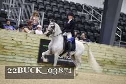 22BUCK_03871 proof