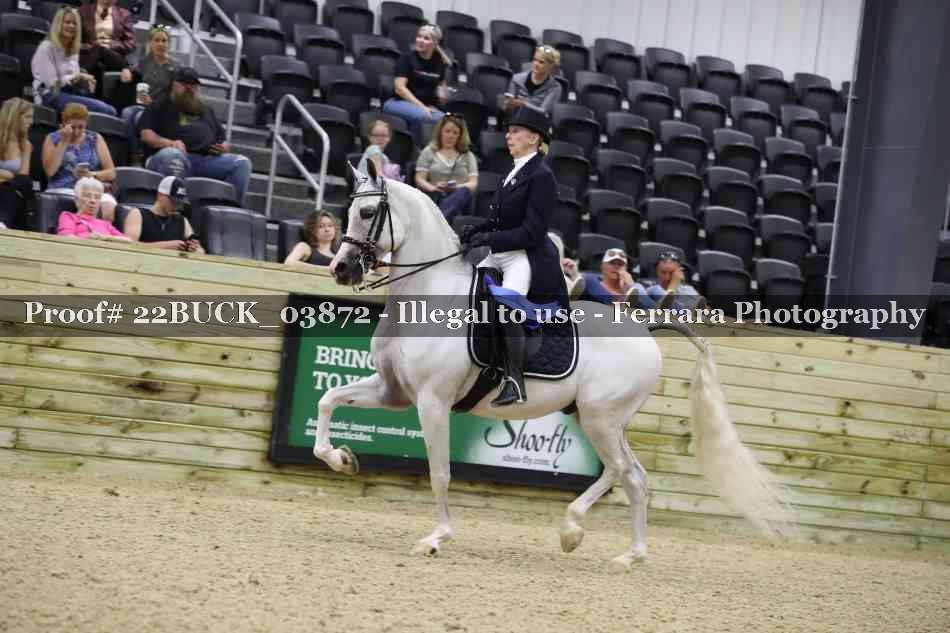 Proof 22BUCK_03872