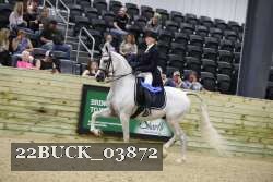 22BUCK_03872 proof