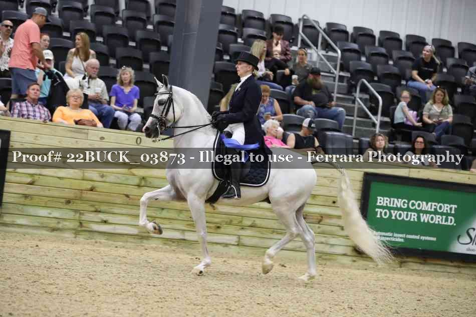 Proof 22BUCK_03873