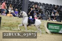 22BUCK_03873 proof