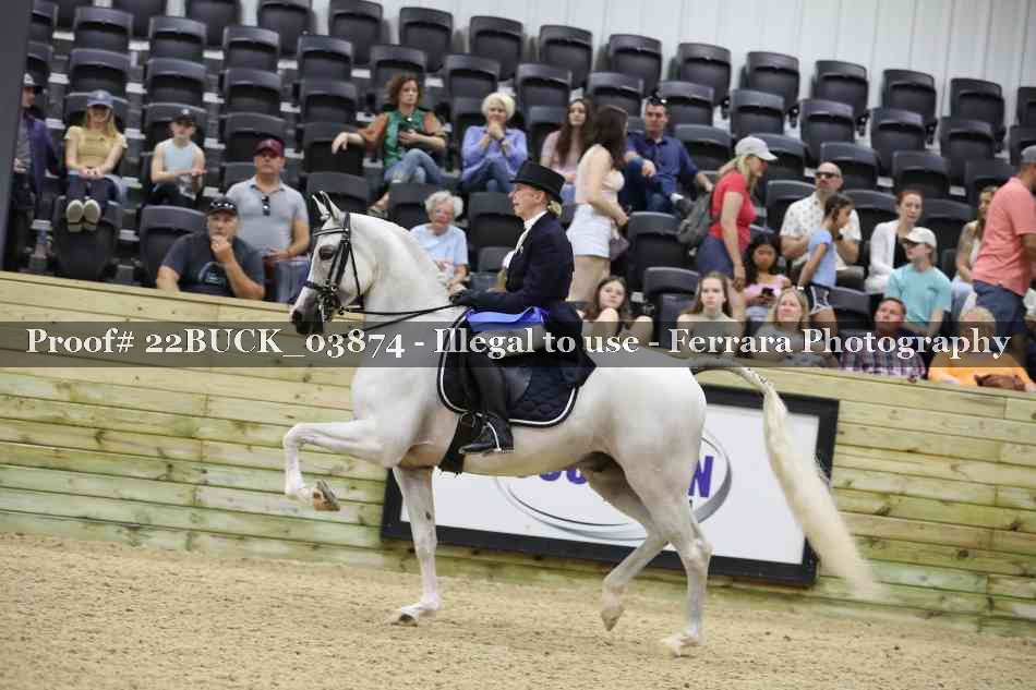 Proof 22BUCK_03874