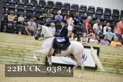 22BUCK_03874 proof