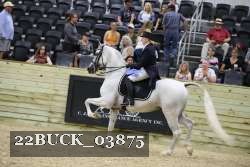 22BUCK_03875 proof