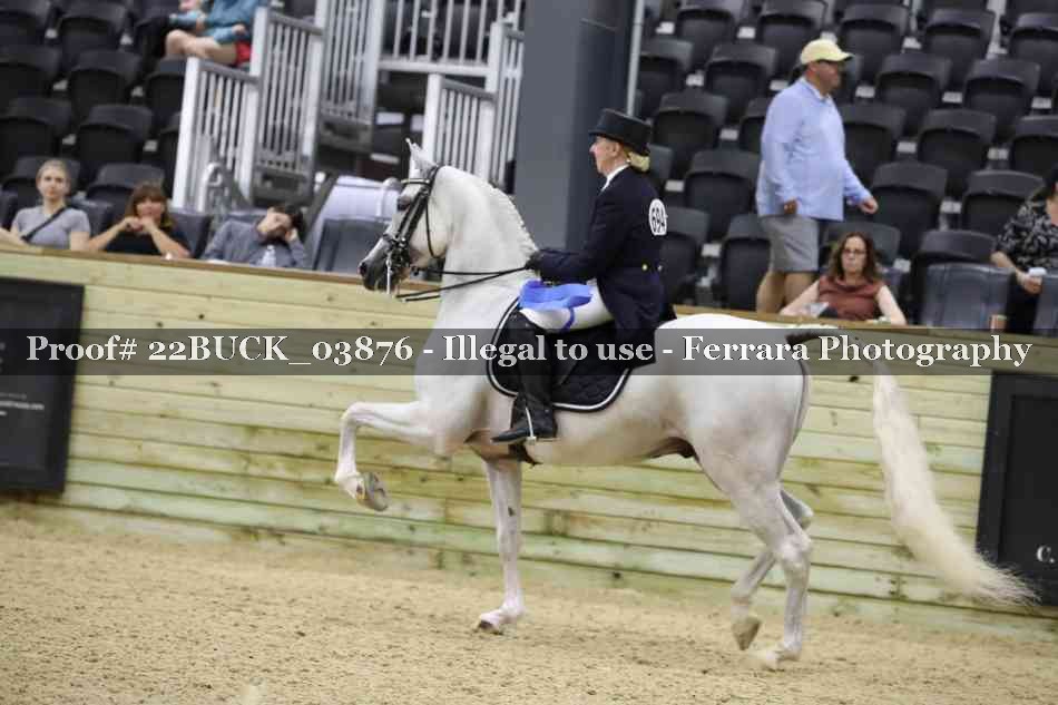 Proof 22BUCK_03876