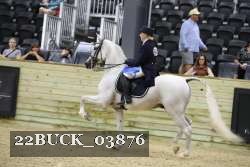22BUCK_03876 proof