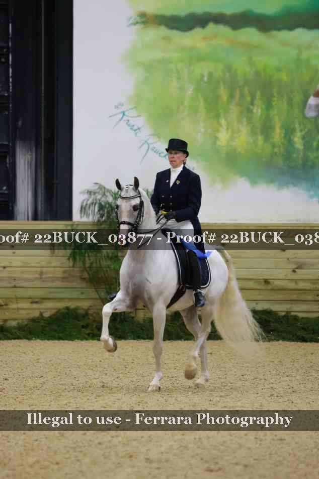 Proof 22BUCK_03877