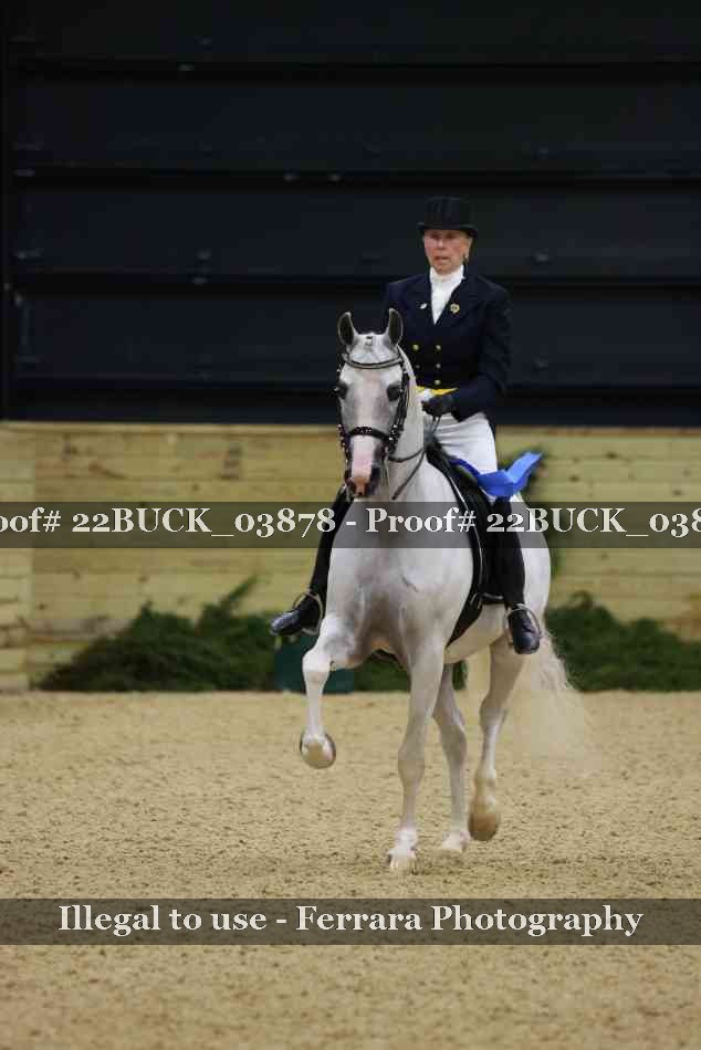 Proof 22BUCK_03878
