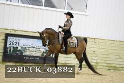 22BUCK_03882 proof
