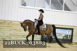22BUCK_03883 proof
