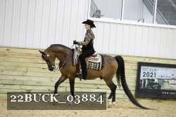 22BUCK_03884 proof