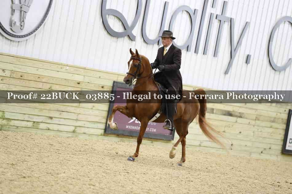 Proof 22BUCK_03885