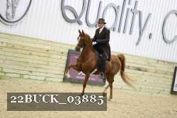 22BUCK_03885 proof