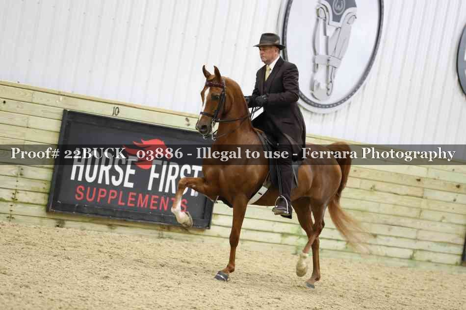 Proof 22BUCK_03886